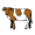 Animaux/fermes Animaux/fermes